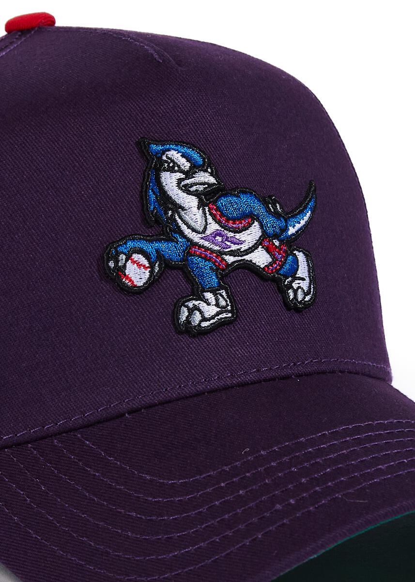 Rapjays Purple A frame Hat