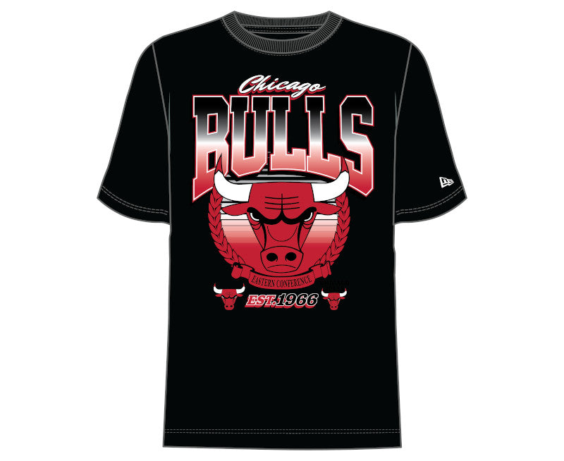 New Era Chicago Bulls Tee
